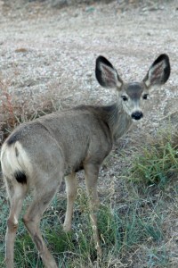 Colorado Springs Day 2 (72)