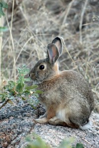 Colorado Springs Day 2 (77)