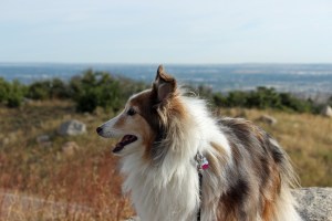 Colorado Springs Day 2 (94)