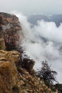 Grand Canyon (33)