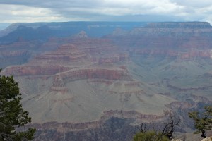 Grand Canyon (97)