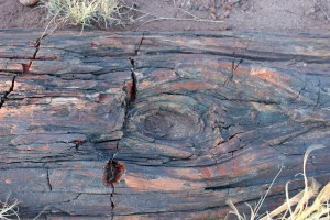 Seriously, this is rock.