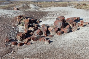 Tumble of logs in Crystal Forest