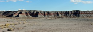 Petrified Forest 2