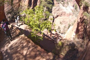 Walter's Wiggles - can you see down the switchbacks?