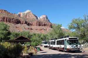Shuttle for the park