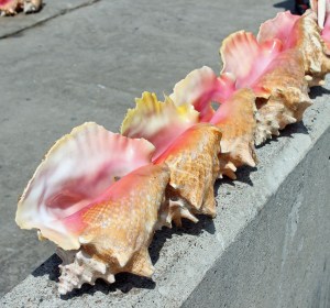 Bahamas Cruise 2016 (29)