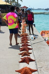 Bahamas Cruise 2016 (32)