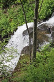 Amicalola Falls