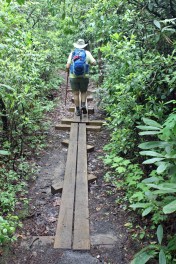 Hike Inn (59)