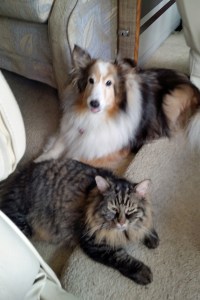 Heading home at last!